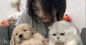 Korea Selatan Rilis Panduan Wisata Ramah Hewan Peliharaan