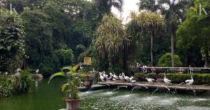 Ragunan “Malam”: Piknik, Olahraga & Satwa Nokturnal