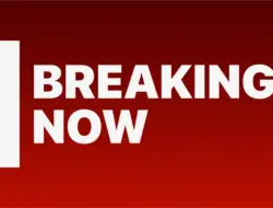 100 kendaraan tabrak di I-196 Michigan, banyak korban luka