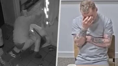 Rusa lihat tarif O2, lupa pohon: heboh di kantor cabang