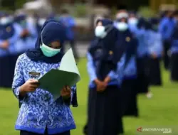 5 Berita Populer: Honorer Jadi PPPK Paruh Waktu, Gajinya Setara 10 Kg Beras