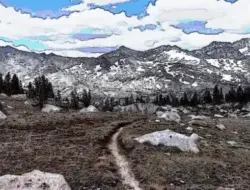 Aku Bard Modern: Musik dan Seni di Jalur Lintas Alam