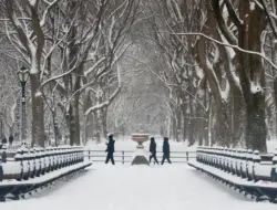 Badai Dingin New York dan Michigan, Waspada Kondisi Berbahaya