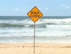 Badai sempurna picu serangan hiu massal di NSW