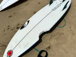 Bocah Nyaris Cedera Saat Hiu Gigit Papan Selancarnya di Sydney