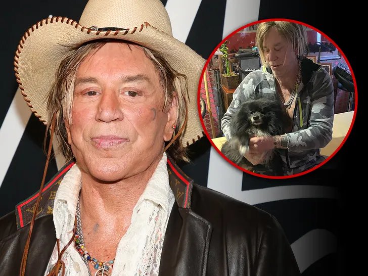 Mickey Rourke Terpukul: Anjing Kesayangannya Butuh Operasi Jantung Mahal