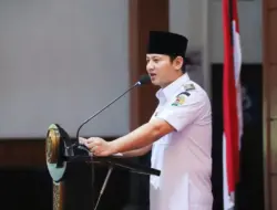 HNSI Jatim: Energi Pesisir Jangan Ganggu Penangkapan Hiu