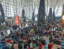 IndiGo rilis sistem operasi pilot sebelum tenggat FDTL