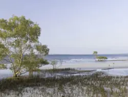 Jenazah Gadis 19 Tahun Kanada Ditemui Dikelilingi Dingo di Pulau Australia