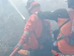 Kebakaran di Aceh Barat meluas 10 hektar, BPBD: Angin kencang memperparah