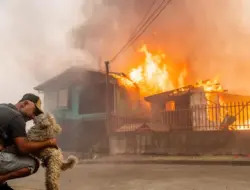 Kebakaran hutan di Chile tewaskan 18 orang, ribuan mengungsi