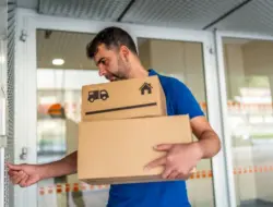 Kurir Paket dan Anjing di Klip Viral Pet Cam: Apa yang Terjadi?