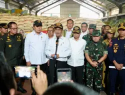 Mentan buru 1.000 ton beras ilegal