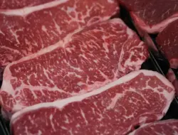 Panduan Diet Baru Sarankan Dua Kali Lipat Asupan Protein, Tapi Ahli Gizi Waspada