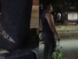 Pegawai Bina Marga yang tersangka tebang liar dipindahkan ke TU