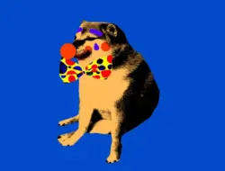 Pemerintah Trump Akui Pejabat DOGE Boleh Akses Data Jaminan Sosial