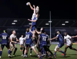 Penggunaan Ikan Hiu Diizinkan