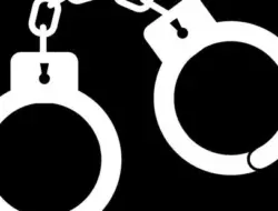 Penipuan cyber dari Kamboja terungkap, 6 tersangka di Jodhpur Rajasthan