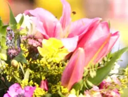 Pria sebut pacar “ingrata” gara-gara protes tak pernah dikasih bunga