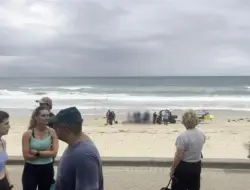 Pria tergigit hiu di dekat pantai Manly, Sydney