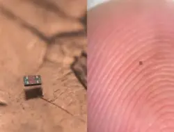 Robot otonom terkecil di dunia berukuran lebih kecil dari sebutir garam