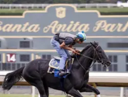 Santa Anita Tuntut Penangkapan Penjudi ke Kejaksaan California