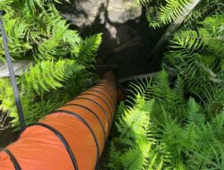 Kakek Ngawi Jatuh ke Sumur, Dunya Sempat Dikira Meninggal