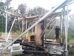 KKB Bakar Dua Pemancar Telkom di Puncak Papua