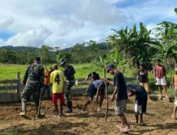 Satgas Yonif 143/TWEJ Ajak Warga Garap Lahan Tidur di Perbatasan RI-PNG