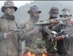 KKB Bakar Pesawat MAF di Intan Jaya, Pilot dan Penumpang Selamat