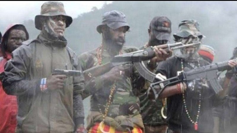 KKB Bakar Pesawat MAF di Intan Jaya, Pilot dan Penumpang Selamat