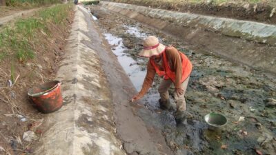 PMJ Bantah Proyek DI Ciujung Rp43 Miliar Disubkontrak ke Pengusaha Lokal