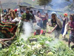 Perayaan HUT Kodam Jaya ke-73 dan Natal di Lanny Jaya, Satgas Yonif 203/AK Gelar Bakar Batu