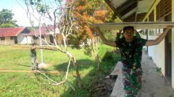 Kondisi Sekolah di Tapal Batas RI-PNG Memprihatinkan, Satgas Yonif 143/TWEJ Langsung Renovasi