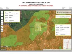 JMB Tanggapi Mayora di Pandeglang Diduga Serobot Lahan Sawah Dilindungi