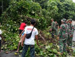 Pohon Tumbang Tutup Jalan Keerom, Satgas Yonif MR 413 Kostrad Evakuasi Cepat