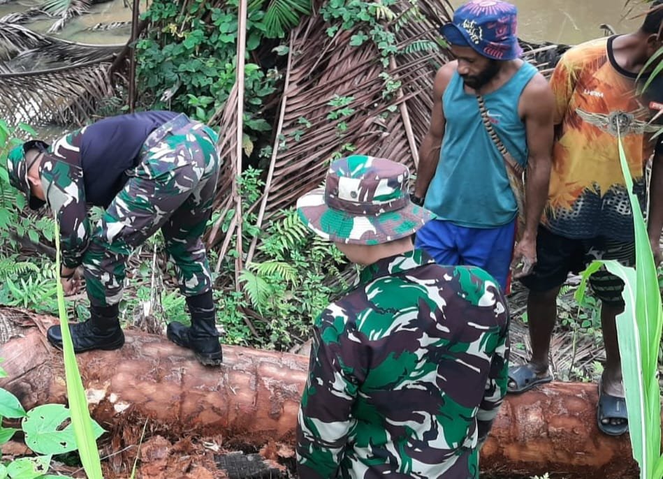 Warga dan Satgas Yonif 143/TWEJ Panen Sagu di Perbatasan RI-PNG
