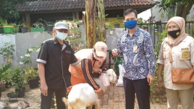 Lurah M Ghufri Fatchani Serahkan Kambing Qurban ke Panitia Pewarta Tambora