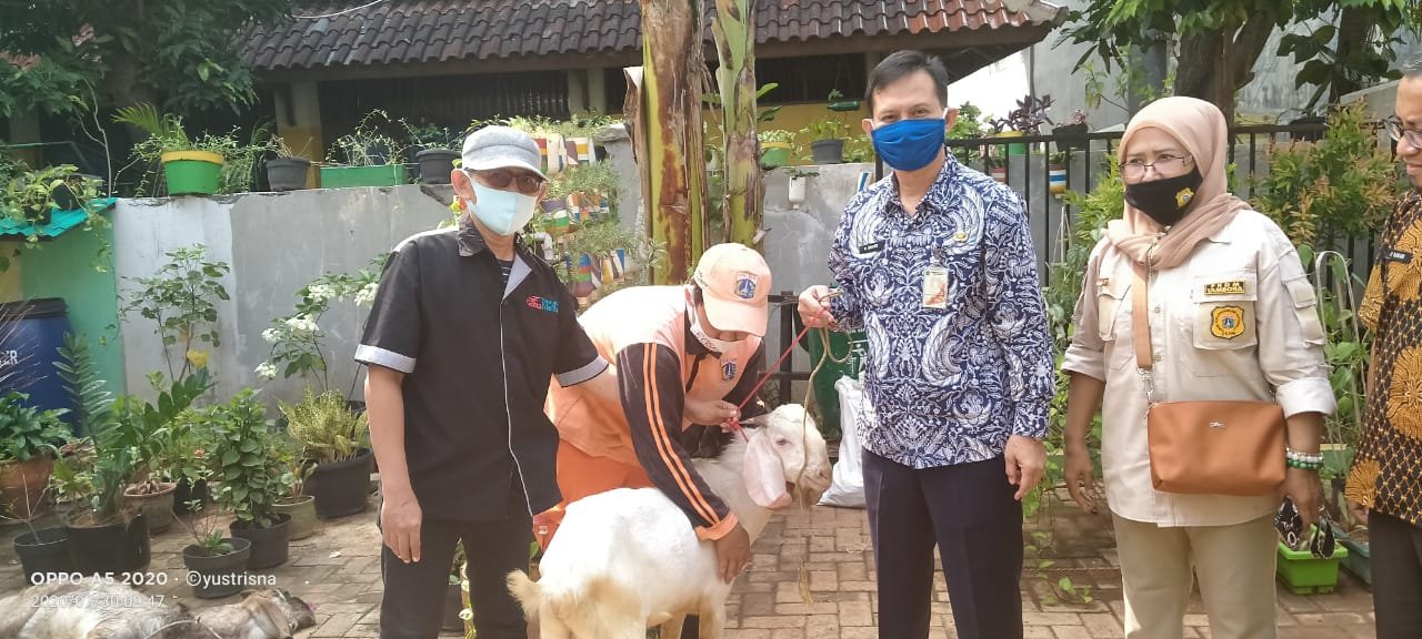 Lurah M Ghufri Fatchani Serahkan Kambing Qurban ke Panitia Pewarta Tambora