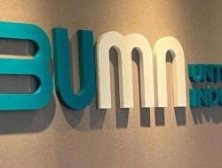 ISPI: Kementerian BUMN Sibut Ganti Logo, Bukan Urus Defisit