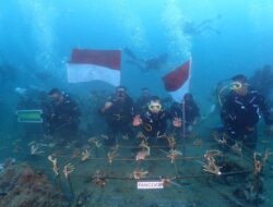 Pangdam Pattimura Lestarikan Ekosistem Laut Maluku dengan Tanam Terumbu Karang
