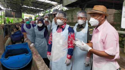 Sekda Depok Tinjau Kesiapan Hewan Kurban di RPH Kota