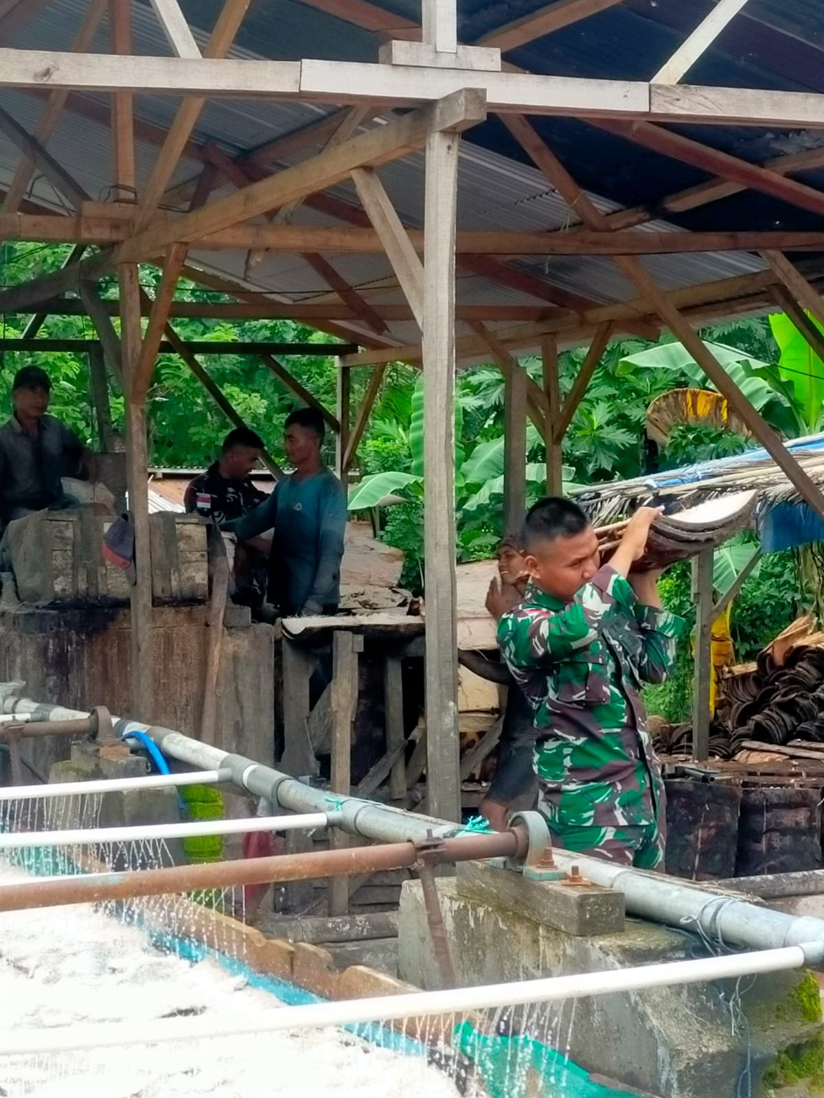 Satgas Yonarmed 1 Kostrad Olah Sagu di Negeri Laha demi Kesejahteraan Warga