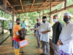 Kogabwilhan I Peduli Salurkan Hewan Kurban untuk Masyarakat