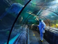 Ancol Tutup Sementara Tapi Pegawai Tetap Terima Gaji