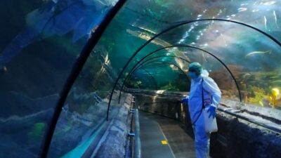 Ancol Tutup Sementara Tapi Pegawai Tetap Terima Gaji