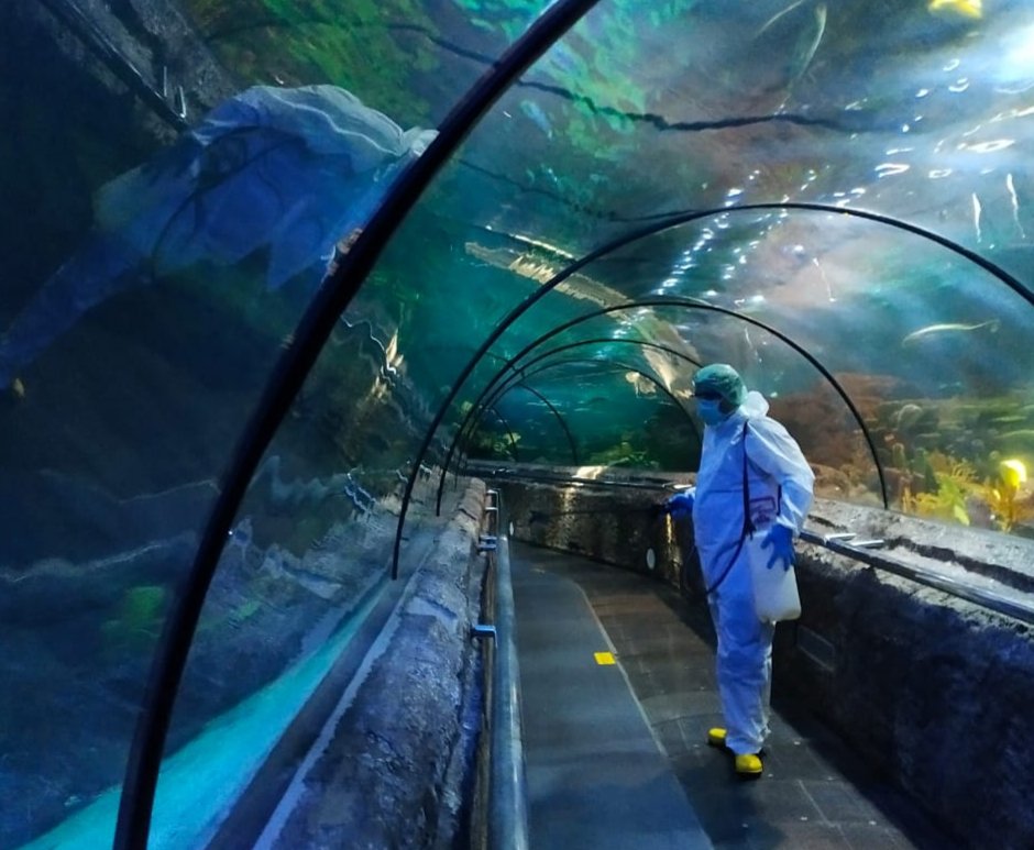 Ancol Tutup Sementara Tapi Pegawai Tetap Terima Gaji