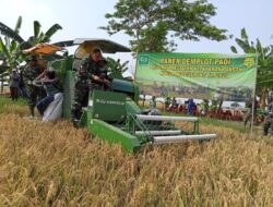 Dandim 0602 Serang Panen Raya Padi Demlot Bios 44 dengan Mesin Harvester Modern