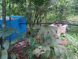 SPAM Desa Suka Rena Diduga Proyek Aspirasi Dewan, Kades Jadi Kikuk