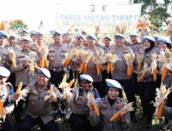 Wakapolda Banten Pimpin Panen Jagung, Dukung Ketahanan Pangan Prabowo